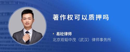 仪陇县积极落实知识产权质押融资政策助力企业创新发展(图1)