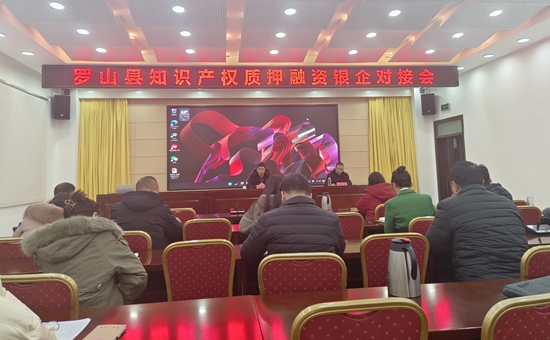知识产权质押信息(图1)